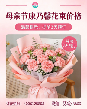 沧州花店母亲节康乃馨花束