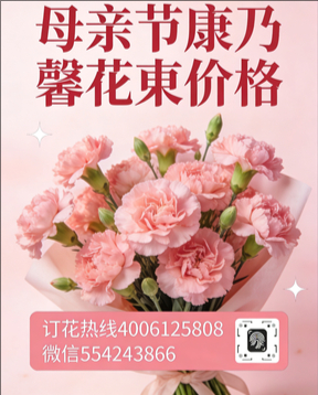 沧州花店母亲节康乃馨花束